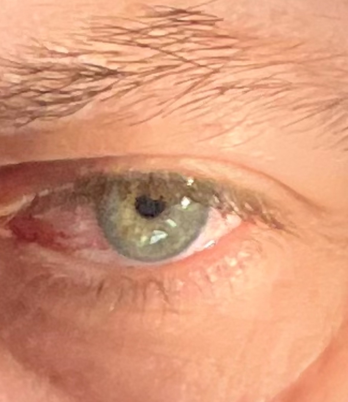 Profilo di Réginald