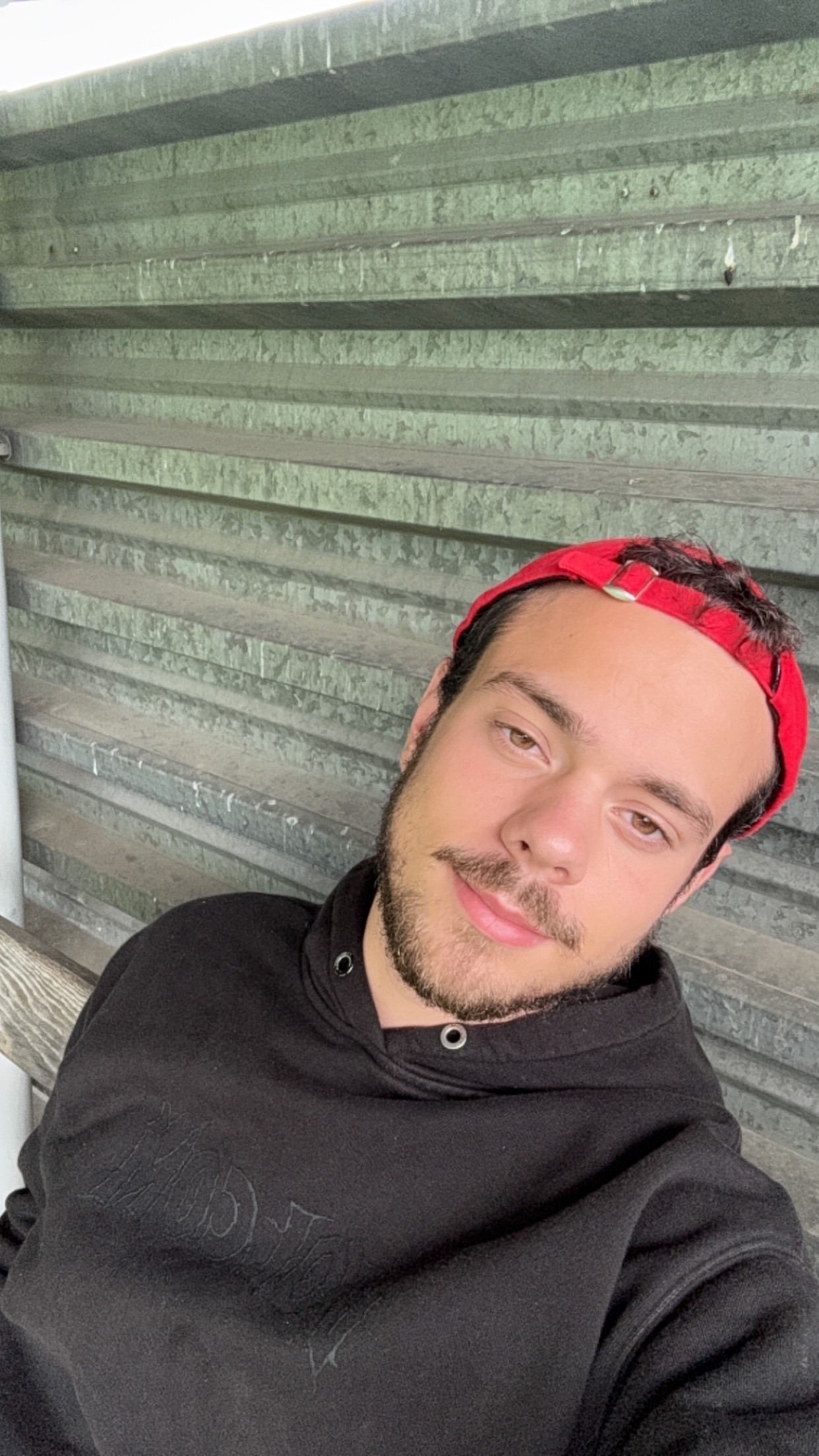 Profilo di Pasqualino