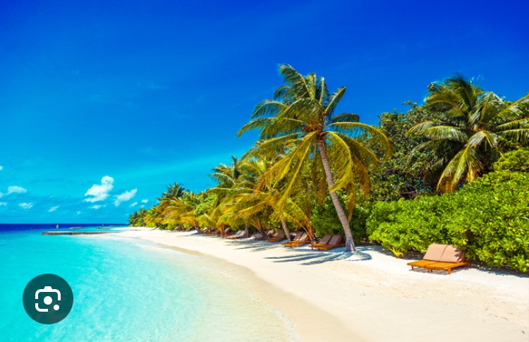 Profilo di Mohamed-aziz