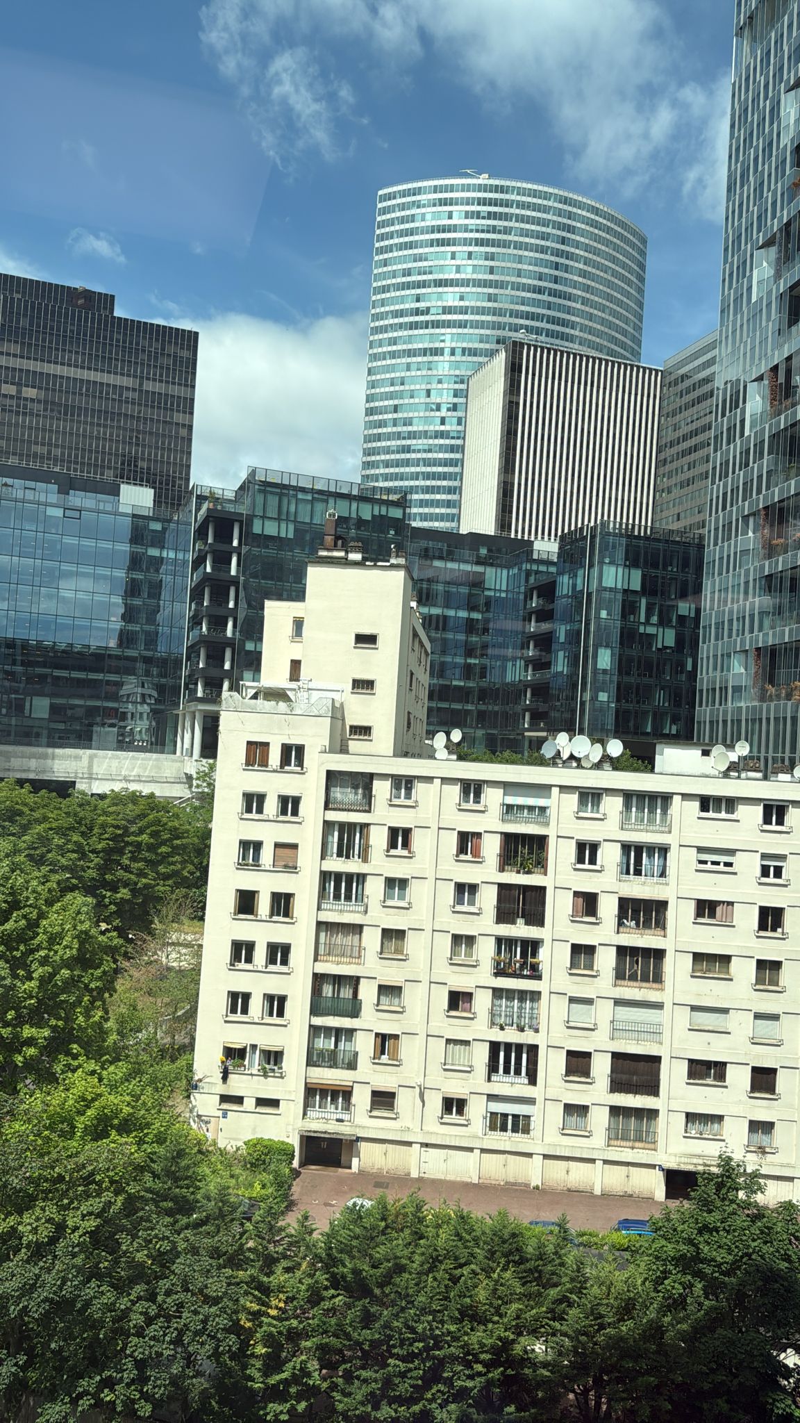 Profilo di Seif-eddine